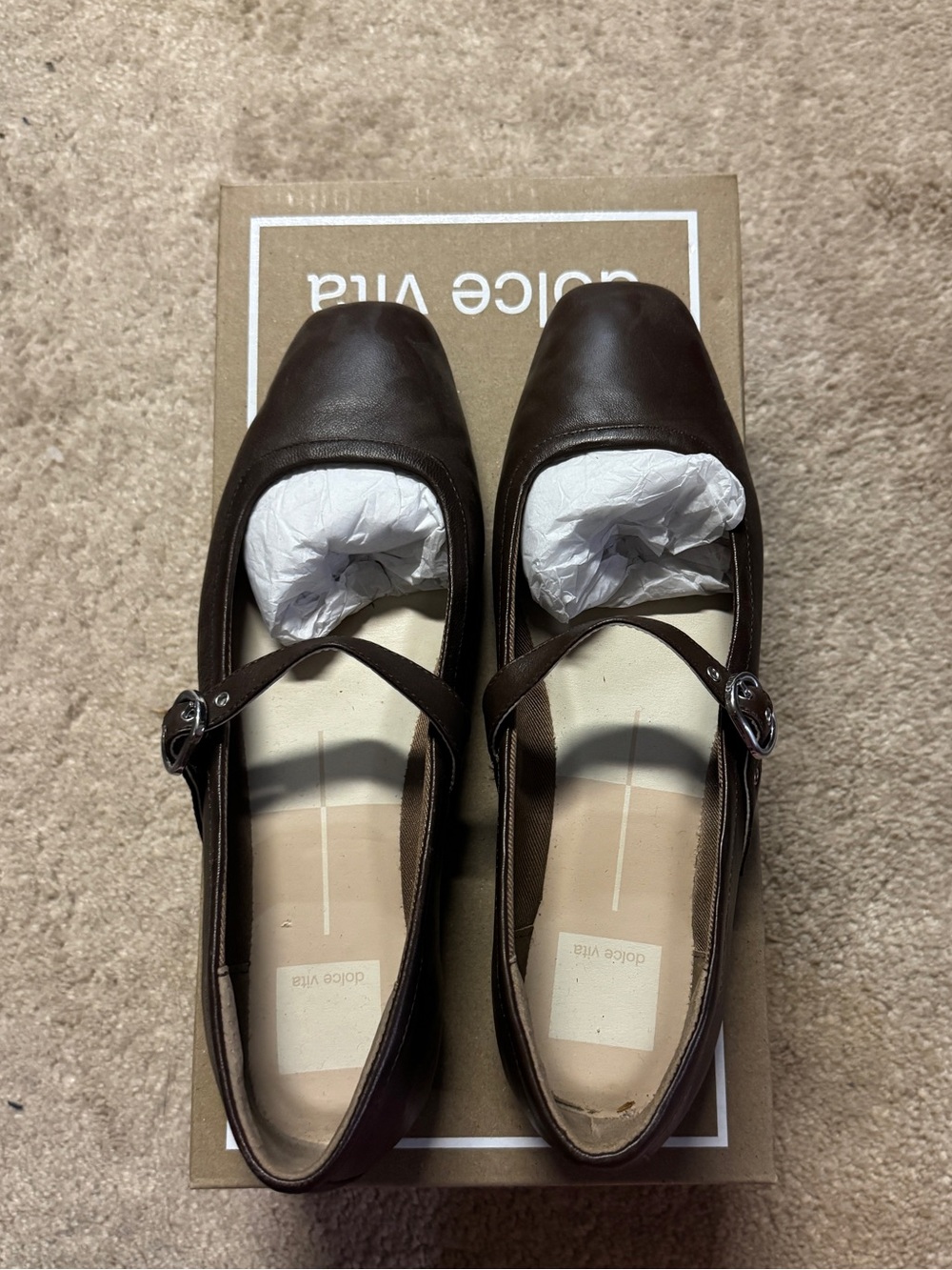 Dolce Vita Dark Brown Leather Mary Jane Flats with Buckle Strap